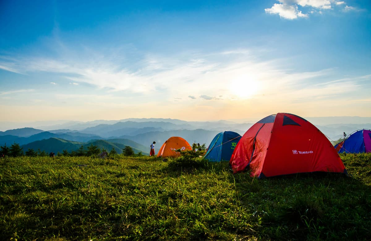 Camping tent in forest - glamping setup